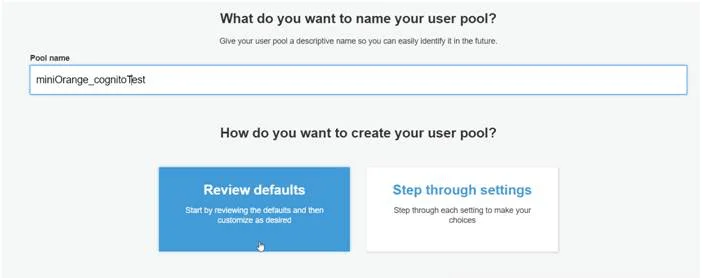 ASP.NET AWS Cognito OAuth SSO - Name your AWS Cognito User Pool