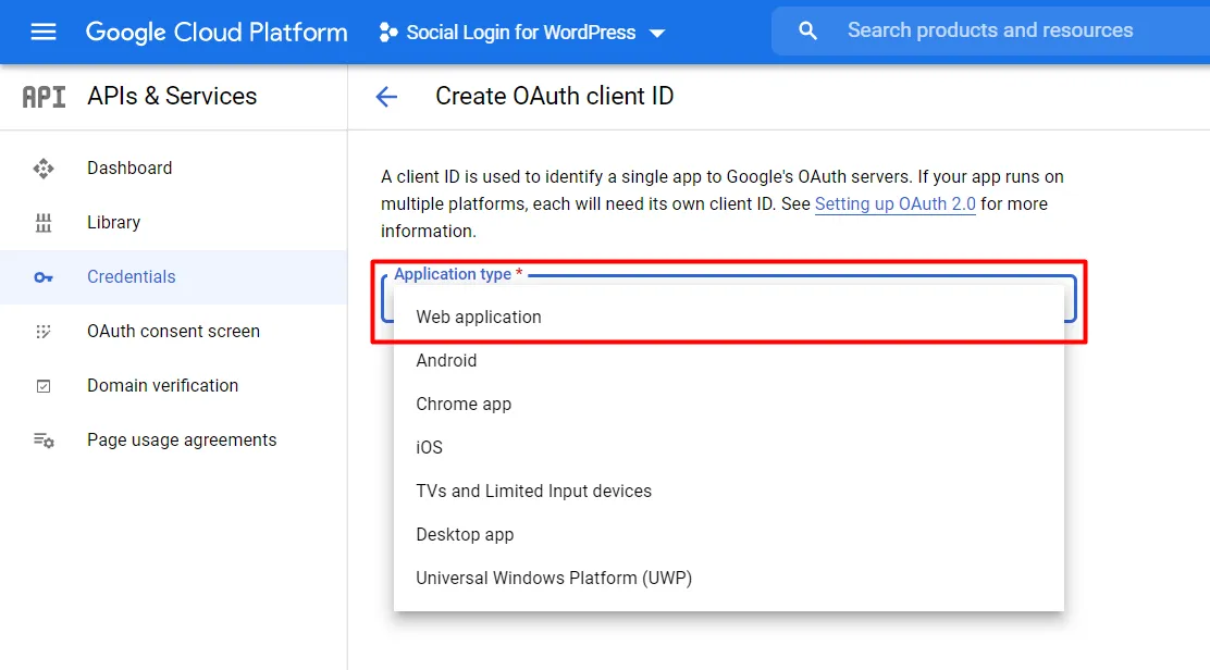 Google web application for social login to website
