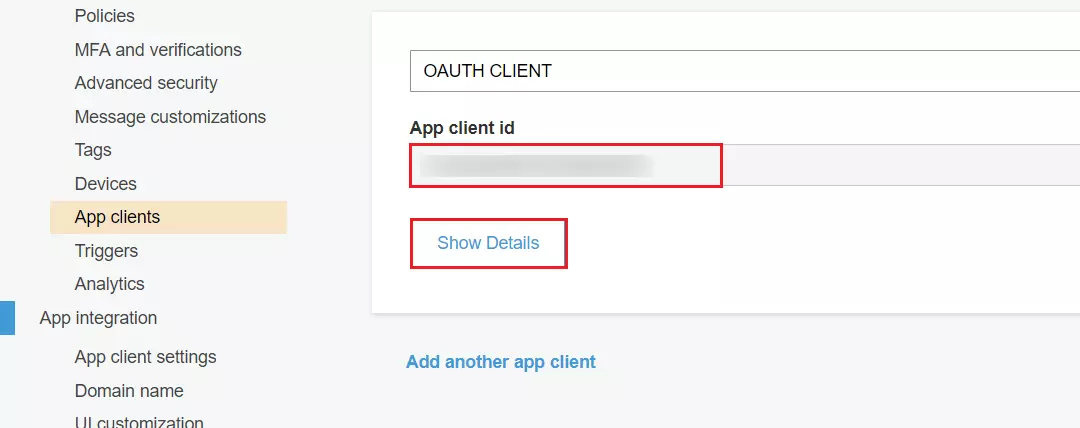 OAuth/OpenID/OIDC Single Sign On (SSO), AWS cognito SSO Login App client