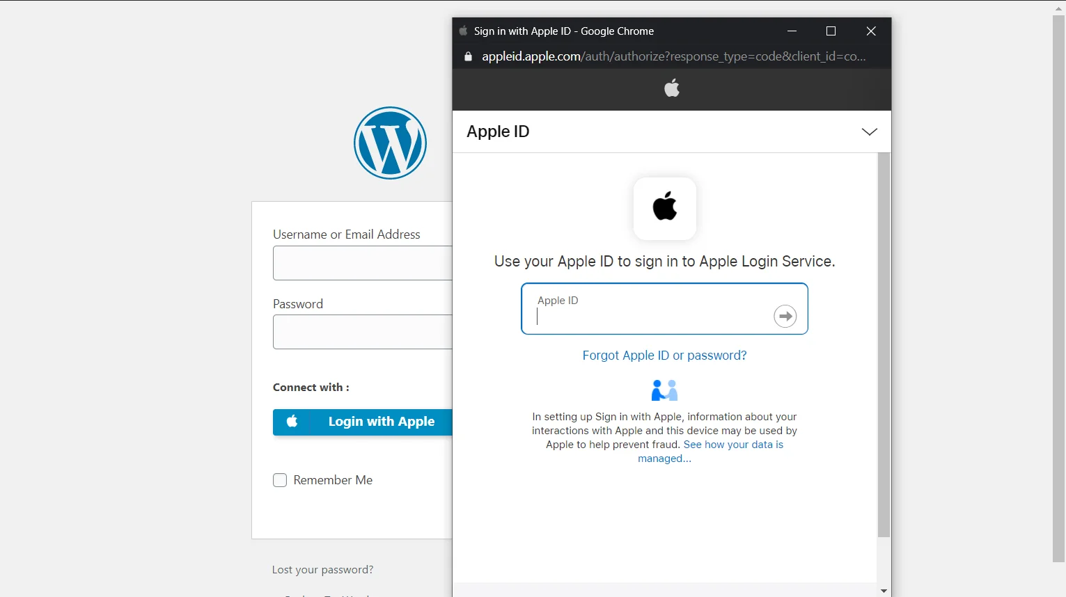 Wordpress Firebase Apple login - login with apple credentials