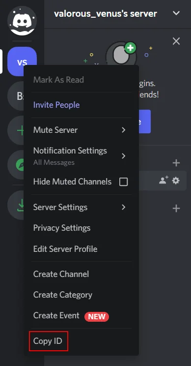 Discord Role Mapping - Copy ID from discord server