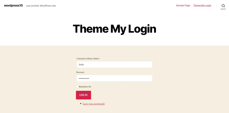 WordPress Theme My Login form - Enter your username and password