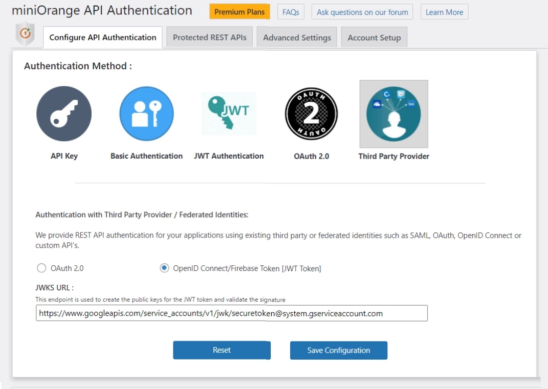 WordPress REST API Plugin demo screen of authentication with third party