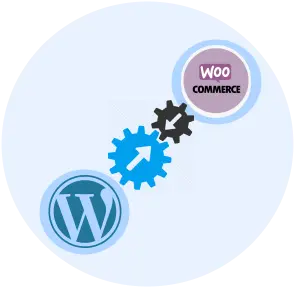 Microsoft Dynamics 365 WordPress integration | Woocommerce integration