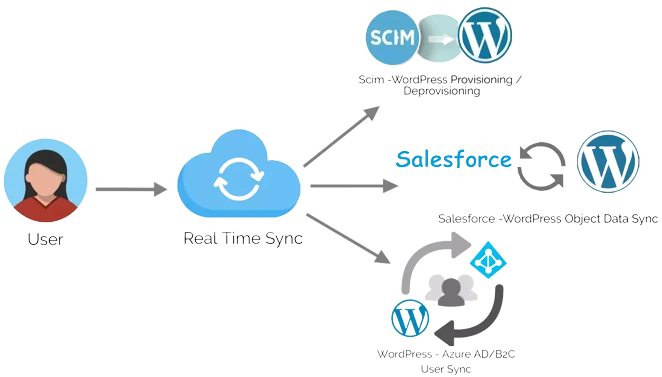 WordPress SCIM User Sync | WordPress Salesforce Object Sync | WordPress User Sync for Azure AD/B2C/O365