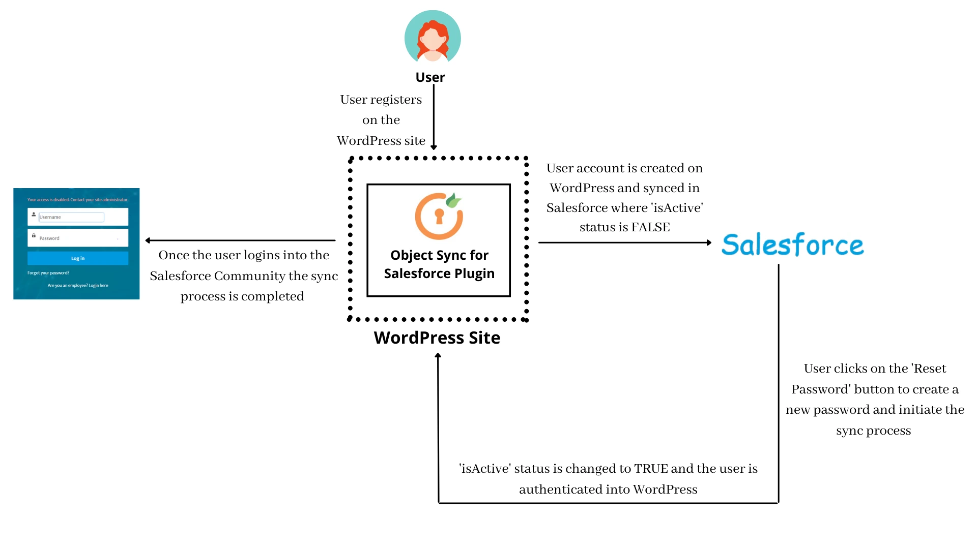 Sincronización de contraseñas/sincronización de objetos de WordPress (WP) a Salesforce |