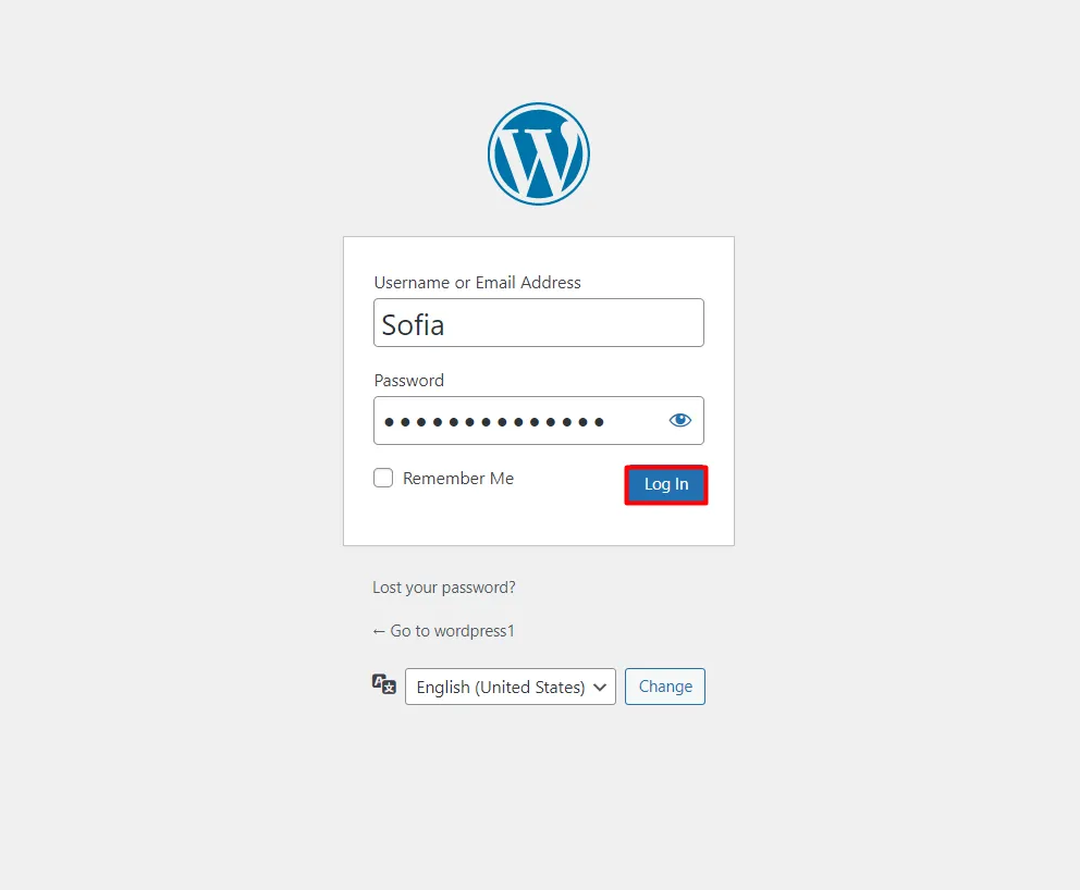 WordPress Password Security - Click login button