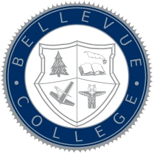 Enkel inloggning för studenter | Bellevue University