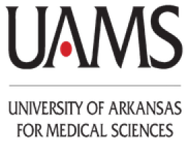 WP SSO for healthcare and medical | UAMS