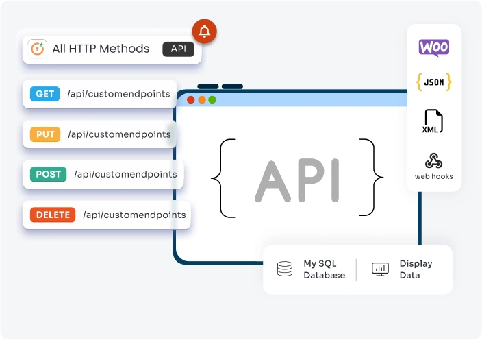 Custome api for wordpress-setup-guide-mg