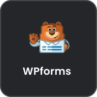 Custom API for Wordpress - wp-forms application integration