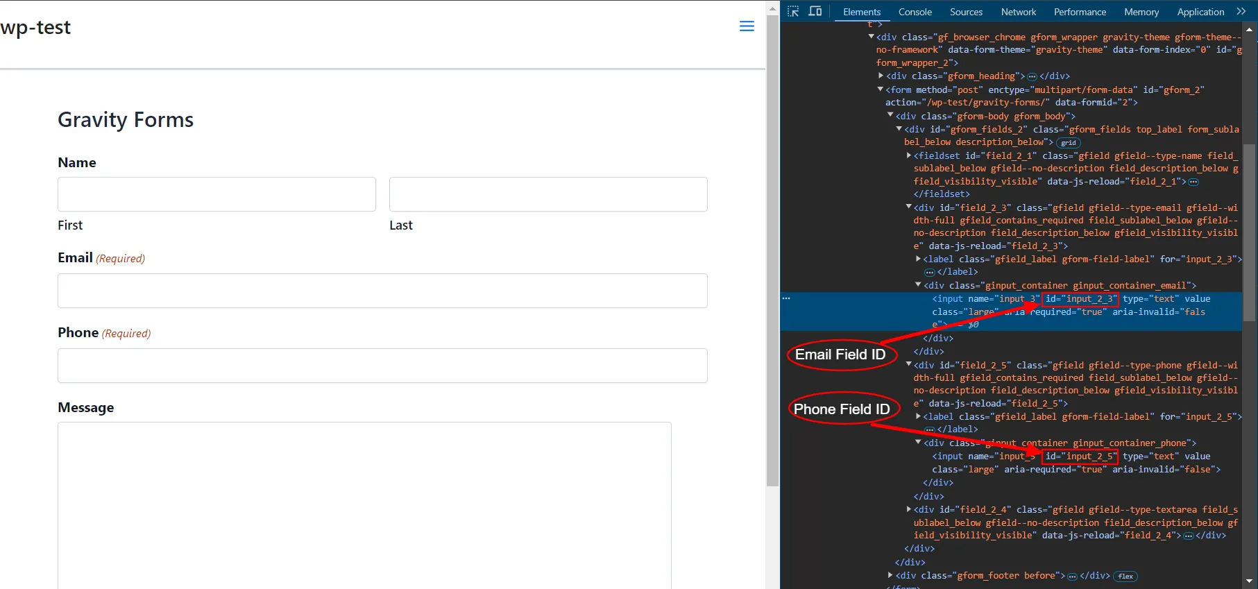 Both Email and Phone Verification Add-on - Gravity Form note required ID