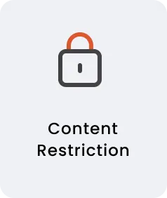 Shopify BFCM Sale - Content Restriction