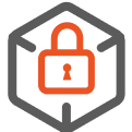 Enterprise-Grade Security