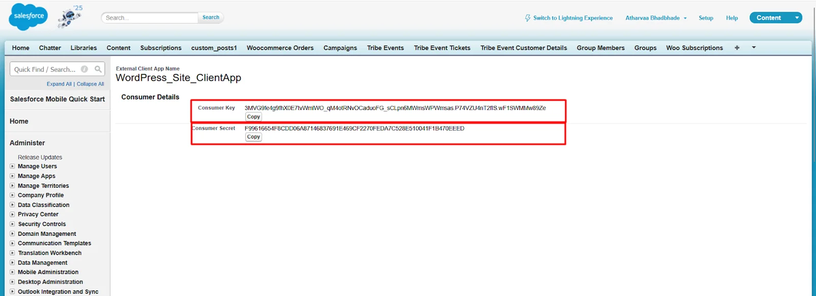 Configure Salesforce for Object sync - Consumerkey