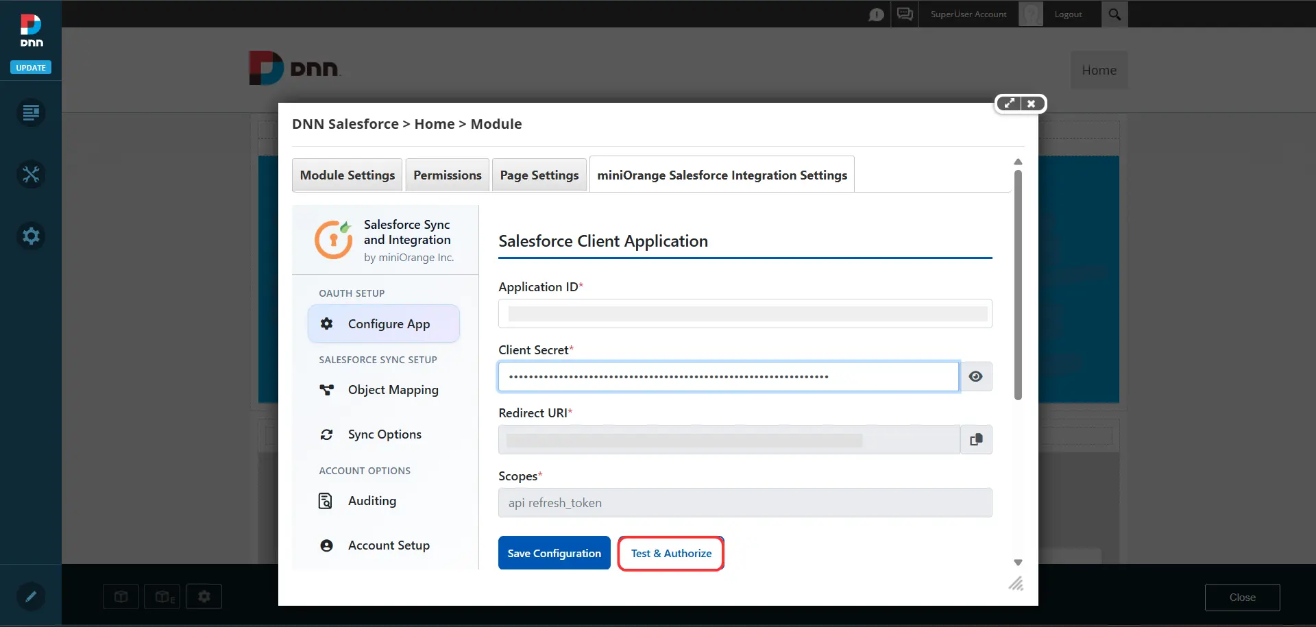 Salesforce - Test and Authorize