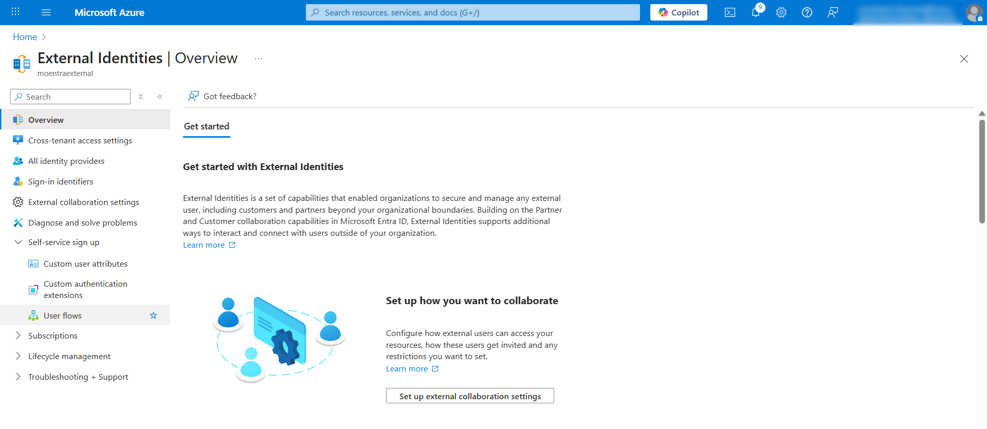 WordPress Entra External ID Single Sign On - Access User Flow
