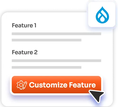 Custom Modifications