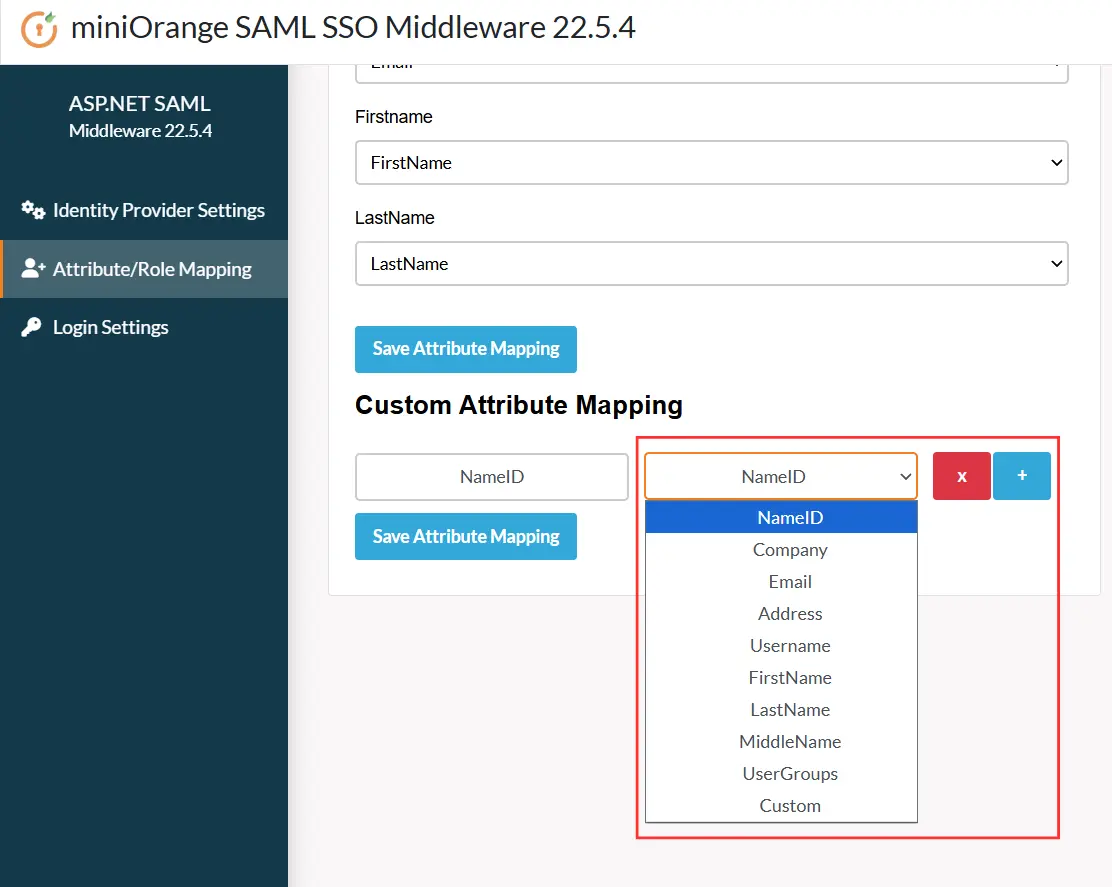 ASP.NET Core Enterprise - Custom Attribute Mapping