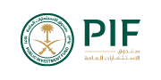 WordPress SEO Plugin | PIF