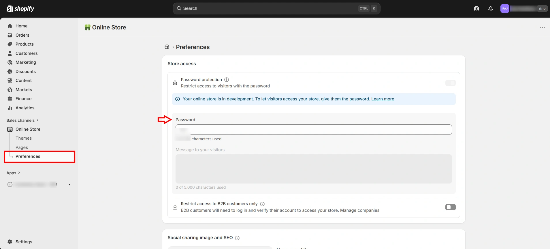 Shopify Password Protection