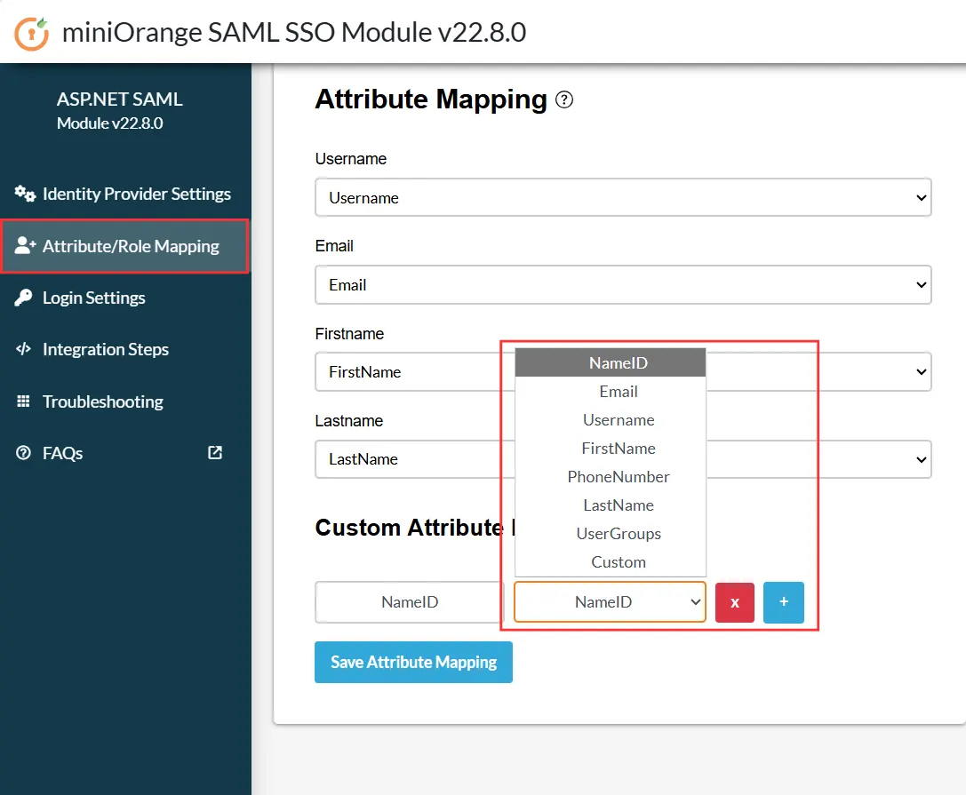 ASP.NET Framework Enterprise - Custom Attribute Mapping