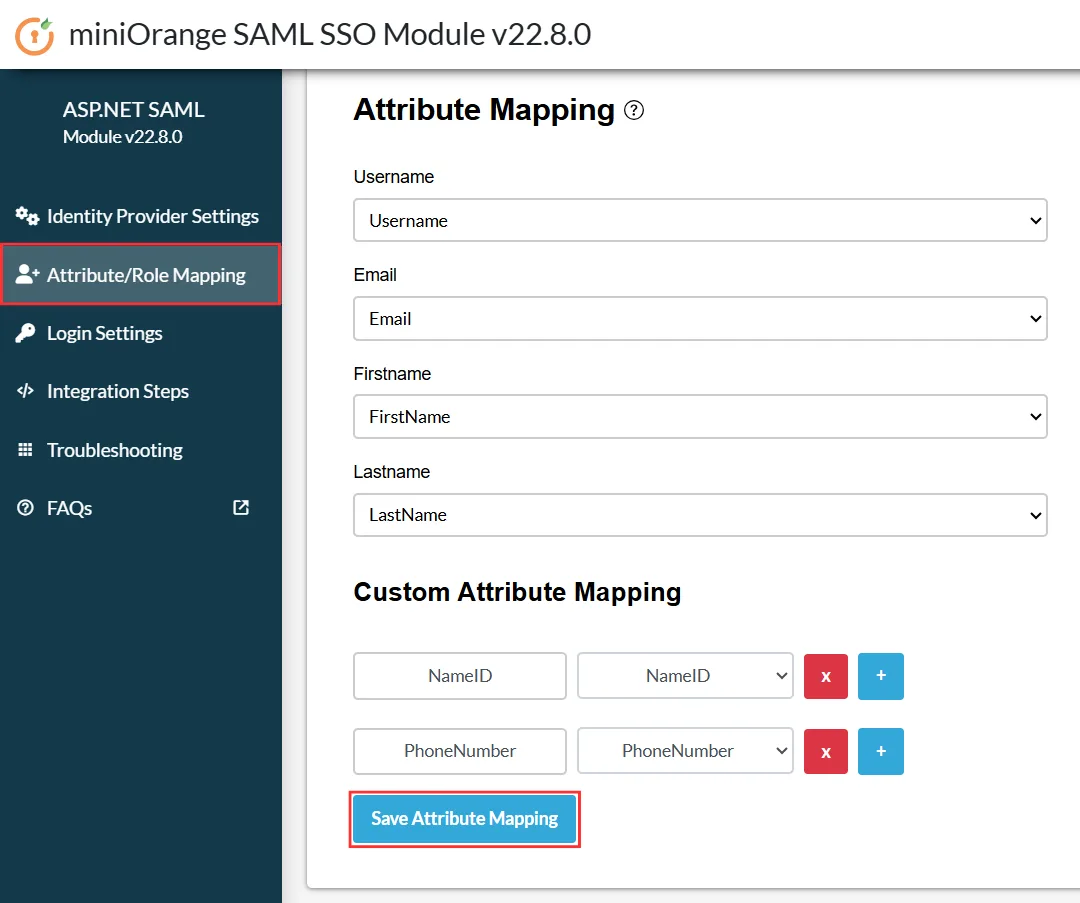 ASP.NET Framework Enterprise - Custom Attribute Multiple Mapping