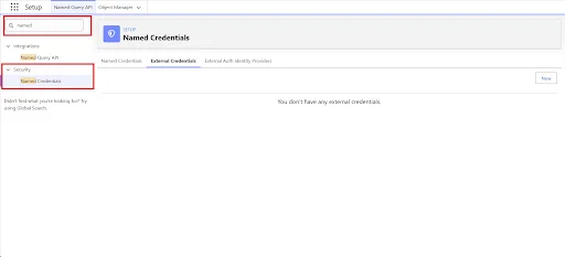 Navigate to Named Credentials in Salesforce Setup