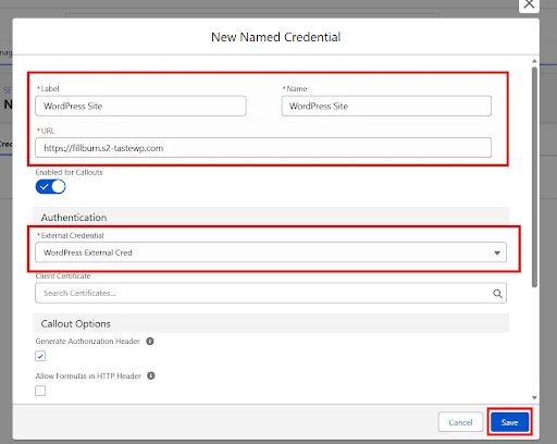 New Named Credential information fields