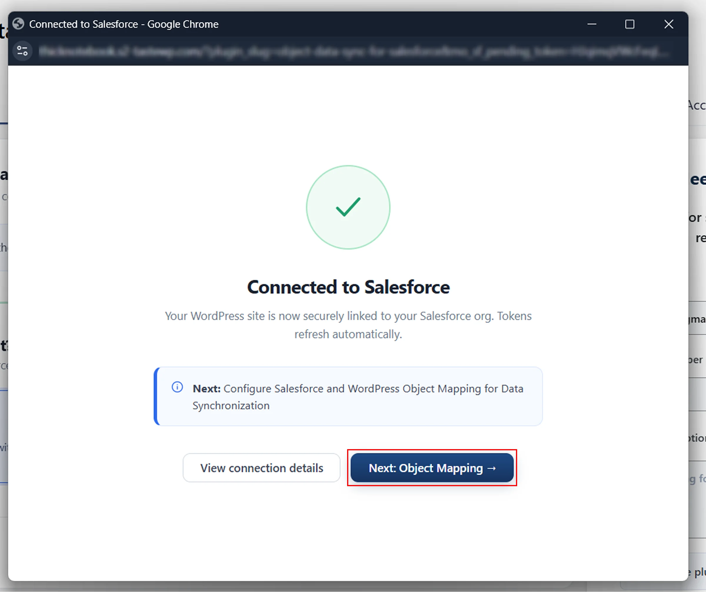 Configurer la synchronisation Salesforce avec WordPress - Mappage des objets