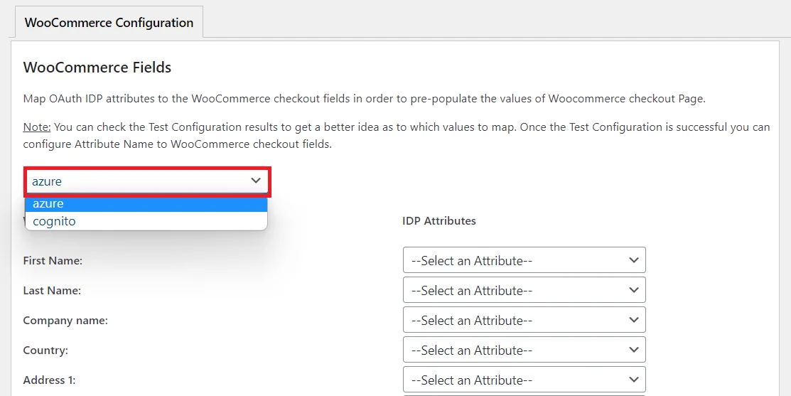WooCommerce 애드온 OAuth 클라이언트 SSO - OAuth 제공업체 선택