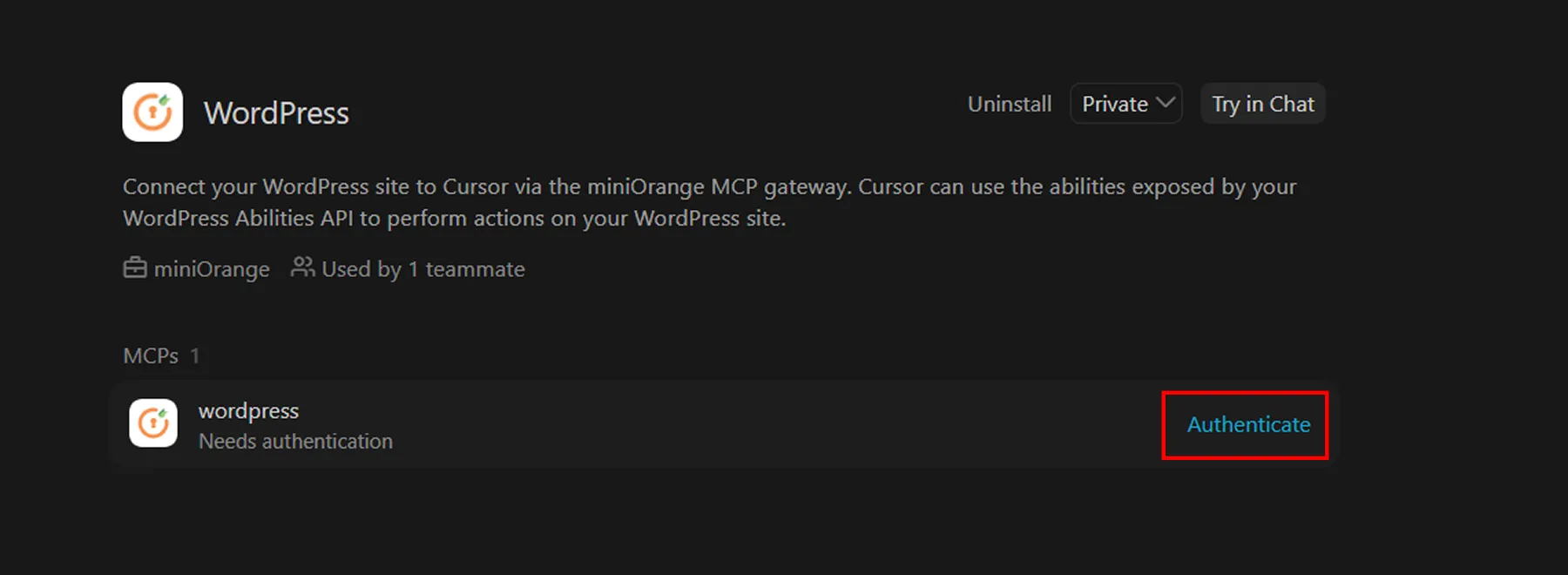 Connect Cursor to WordPress site | Authenticate Cursor plugin