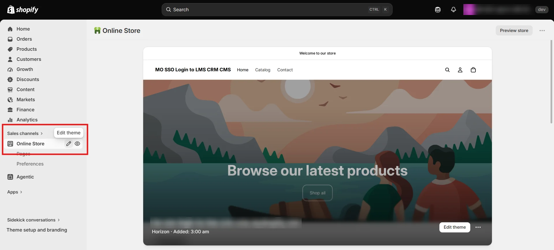 SSO using Shopify as IDP - theme customization